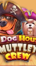 Zagraj na automacie online The Dog House Muttley Crew - Bonusy, Demo, Recenzja